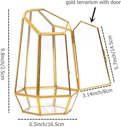 Golden Geometric Glass Terrarium with Door - 9.8" Tall Irregular Clear Planter for Succulents,Ferns,Moss,Cacti | Indoor Fairy Garden,Tabletop Display,Wedding Home Decoration (Plants Not Included)