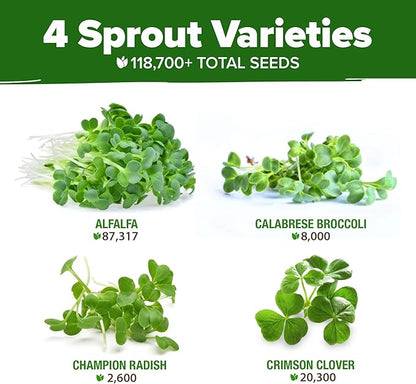 HOME GROWN Premium Sprouting Seeds Mix - Microgreens 118,200 Seeds for Indoor Growing - Non-GMO Broccoli, Alfalfa, Radish, Clover Sprouts Seed - 16oz Resealable Pack for Healthy Salad & Juicing