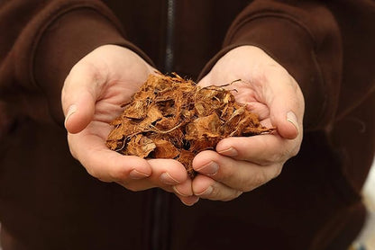 Premium Coconut Coir Fiber Husk Chips Brick 500 g OMRI Listed Organic Growing Medium for Orchids Houseplants Reptiles Terrariums
