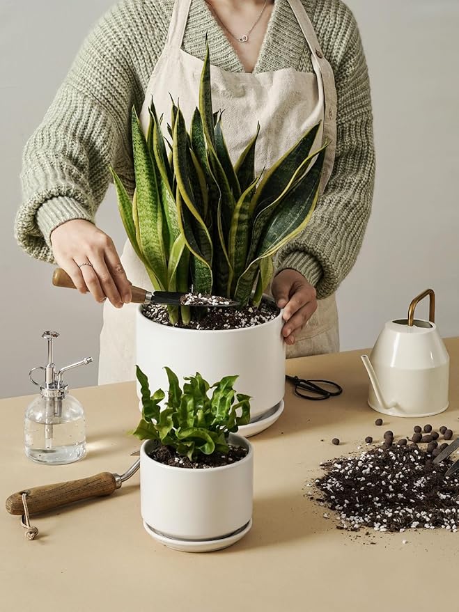 LE TAUCI Ceramic Plant Pots, Set of 2, 8+10 Inch Plant Pots Indoor with Drainage Hole & Saucer, Sturdy Planters for Indoor Plants, Modern Minimalist Decor for Snake Plant, Monstera, White