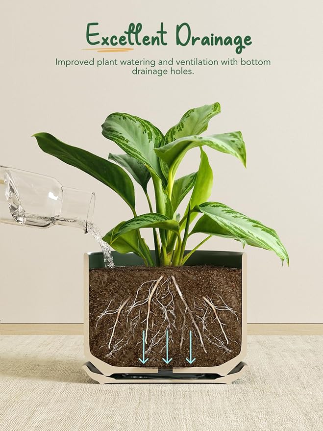 LE TAUCI 12 Inch Pots for Plants, Ceramic Plant Pots with Drainage Holes and Saucers, Elegant and Durable Large Plant Pot, Perfect for Home & Office Decor, Green