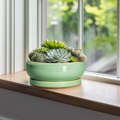 10 Inch Bonsai Tree Pots - Ceramic Succulent Pots with Drainage Hole and Tray, Shallow Planter for Indoor Outdoor Plants, Round Planters, House Decor, Gifts for Plant Lovers, Light Green