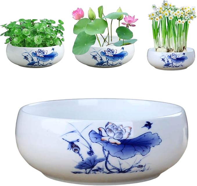 Lotus Bowl Planter, Ceramic Water Lily Bowl, Hydroponic Bonsai Lotus Bowls for Water Plants Indoor, Succulent Pots, Leak-Proof Design (7.68in*2.95in)