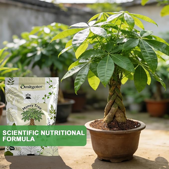All-Natural Money Tree Soil & Indoor Potting Mix 1QT- Drainage-Enhanced Plant Soil for Healthy Indoor Plants