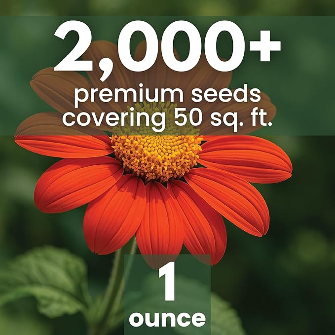 Mexican Sunflower (Red) – 2,000 Seeds for Planting – 1 Ounce Pack – 2026 Growing Season