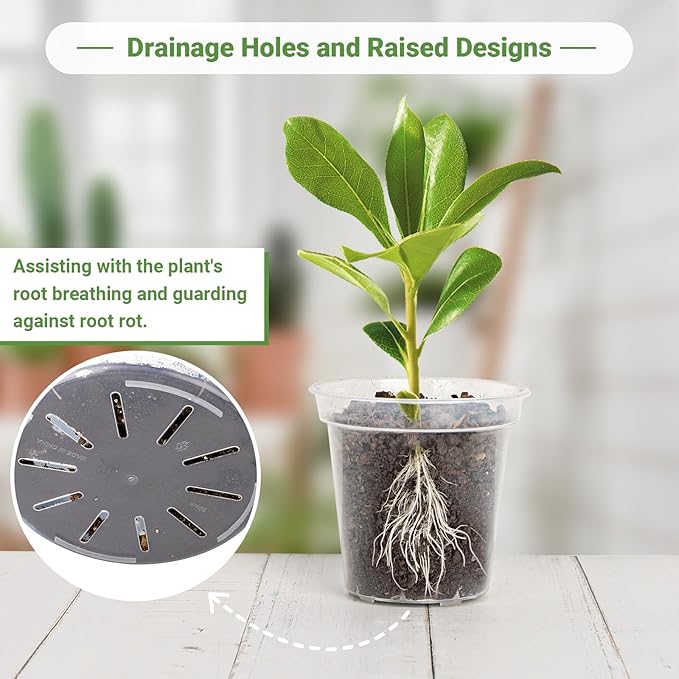 GREANER Clear Plastic Plant Pots, Plastic Planter with Drainage Holes, Nursery Pots for Indoor Outdoor with 20 Plant Labels, 12 Inch(Pack of 5)