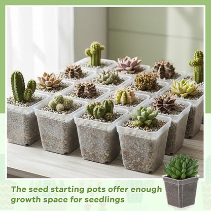 Yaomiao 200 Pack 3 Inch Clear Nursery Pot Square Flower Pots Plastic Plant Succulent Planter Seed Starting Pots with Drainage Holes for Garden Office Balcony Decor Indoor Outdoor Plant Seedling