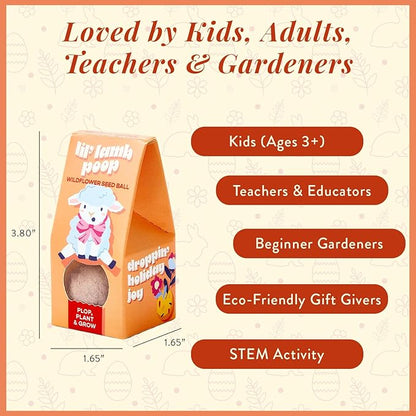 Modern Sprout Wildflower Seed Ball Poop - Easter Basket Essentials - Non-GMO, Hand-Rolled Clay Seed Bombs with Wildflower Seeds - Gardening Gift Set for Kids & Adults - (Easter Plop - Pack of 3)
