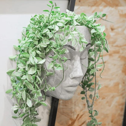 Coolboy Face Planter for Indoor & Outdoor Wall Decoration, Unique Face Flower Pot