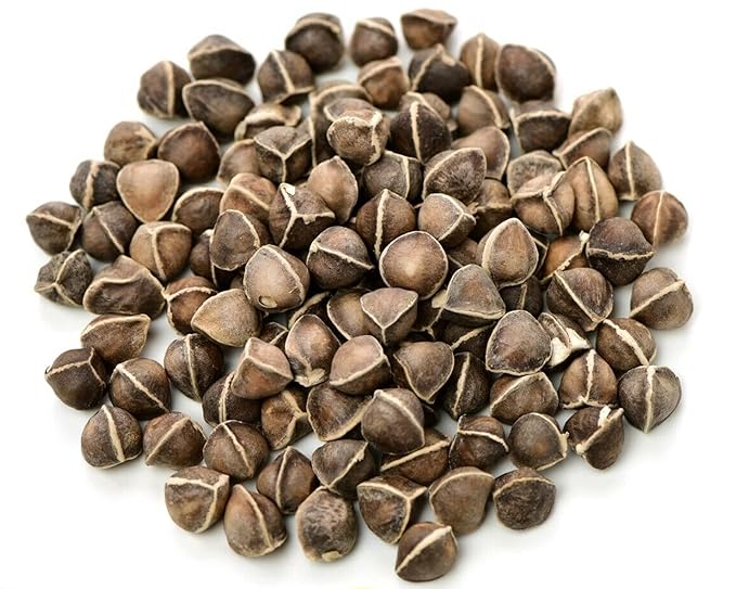 Moringa Seeds Wingless 1 oz. - PKM1 Variety - Edible Snacking - Planting - Moringa Oleifera - Malunggay - Semillas De Moringa - Drumstick Tree - Non-GMO - 100 to 125 Seeds