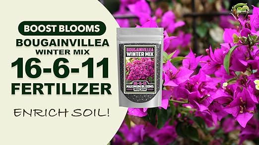 Fertilizer Commercial Grade | Bougainvillea Winter Mix 16-6-11 | 5 Ounces | Custom Professional Mix | Cold-Season Bloom Formula | Controlled Release Nutrition | Micronutrients | Vivid Color & Growth