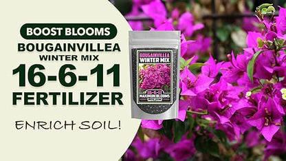 Fertilizer Commercial Grade | Bougainvillea Winter Mix 16-6-11 | 5 Ounces | Custom Professional Mix | Cold-Season Bloom Formula | Controlled Release Nutrition | Micronutrients | Vivid Color & Growth