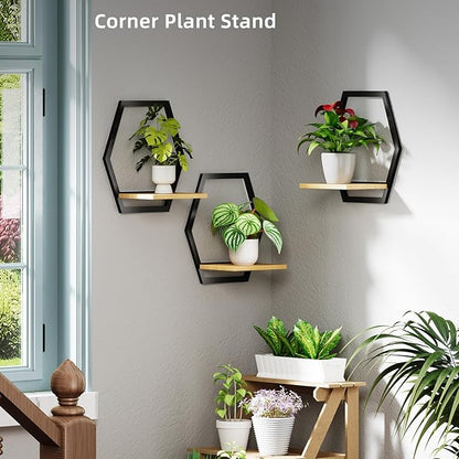 Modern Black Hexagon Wall Planters with Solid Wood Shelves Set of 3 Geometric Floating Wall Decor for Indoor Plants, Stylish Wall Mounted Display for Succulents & Small Plants