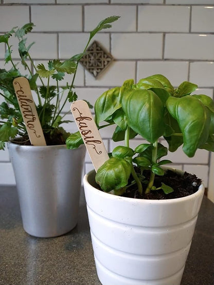 Plantid™ Assorted 10-Pack Kitchen Herbs! Farmhouse Decor Outdoor Indoor Herb Garden Stakes, Plant Labels, Plant Tags, Garden Markers, Garden Accessories, Garden Gifts, Holiday Stocking Stuffers