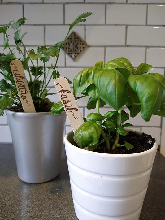 Plantid™ Assorted 10-Pack Kitchen Herbs! Farmhouse Decor Outdoor Indoor Herb Garden Stakes, Plant Labels, Plant Tags, Garden Markers, Garden Accessories, Garden Gifts, Holiday Stocking Stuffers