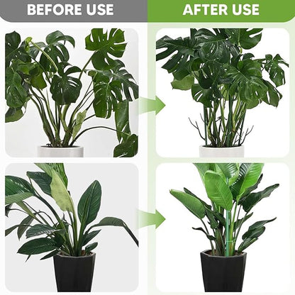 Plant Support Stakes for Climbing Plants, Stackable, Indoor Outdoor Use, Monstera Philodendron Pothos (10inch-10PCS)