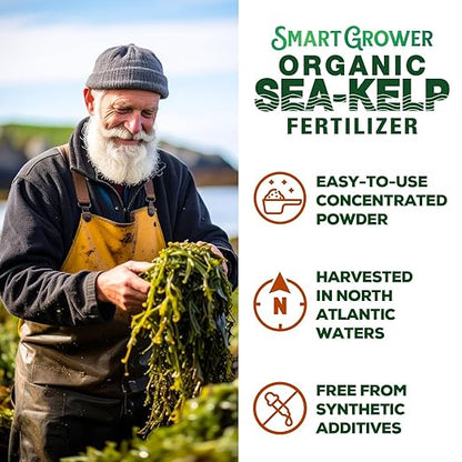 Organic Sea Kelp Fertilizer for Plants – Water-Soluble – Makes 200 Gallons – Kelp Meal Concentrate Plant Food – for Indoor Gardens, Hydroponics, Vegetables, Houseplants - Smart Grower - 8oz Bag