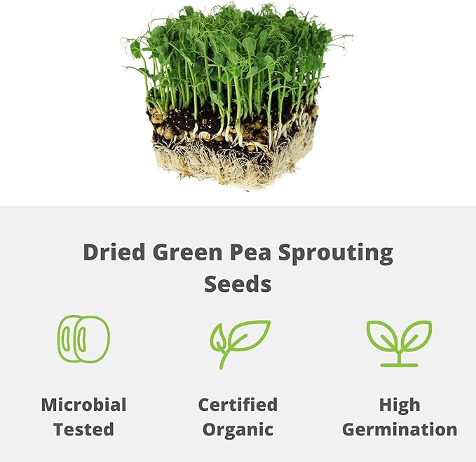 Green Pea Sprouting Seed - 35 Lb - Handy Pantry Brand - Green Pea for Sprouts, Garden Planting, Cooking, Soup, Emergency Food Storage, Vegetable Gardening