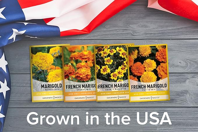 Gardeners Basics, Marigold Seeds for Planting Outdoors (4 Variety Pack) French Marigold Petite Mix, Dainty Marietta, Sparky, and African Marigold Seeds Crackerjack for Pollinators Wildflower Seed