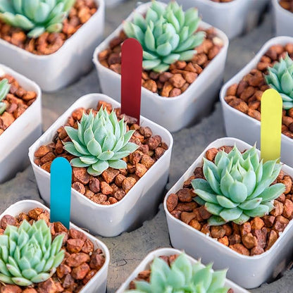 Plant Labels 500 Pcs 4 Inch Garden Markers Plant Tags Re-Usable Garden Labels Stakes (Multicolored)