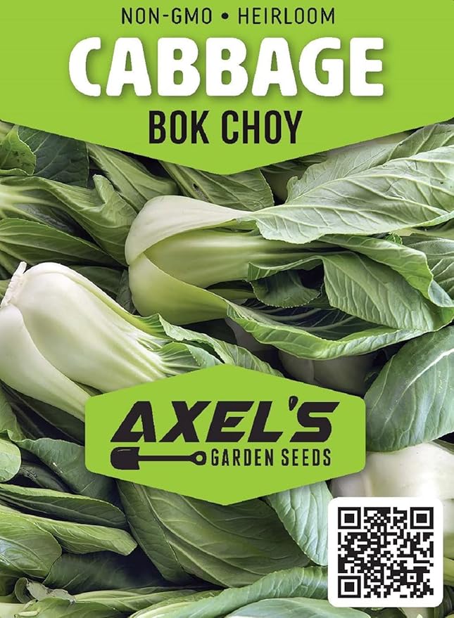 Cabbage Seeds for Planting - Plant & Grow Heirloom Cabbage Varieties Home Outdoor Garden – Easy Grow Planting Packet Instructions Included, Great Gardening Gift – 2 Packets of Each Variety
