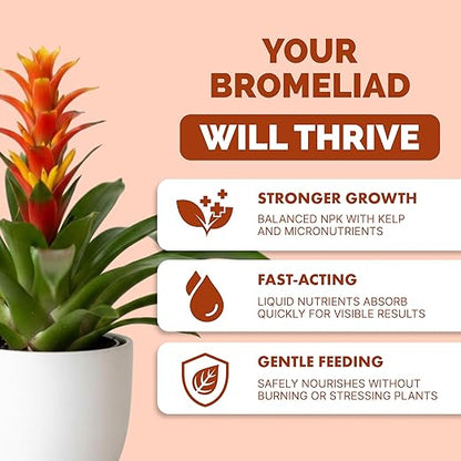 Bromeliad Fertilizer – Liquid Plant Food for Bromeliad Plants, 8 oz