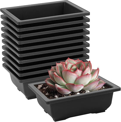 HOZEON 30 Pack 6.5 Inch Rectangular Plastic Bonsai Training Pots, Premium Growing Plant Pot, Flower Succulent Bonsai Pots Container for Garden, Yard, Office, Balcony, Home Decorative, Indoor, Outdoor