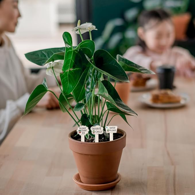 HANABASS 45pcs Wooden Garden Markers Stakes Reusable Plant Labels for Flowers and Vegetables Elegant Minimalist Design for Indoor and Outdoor Use