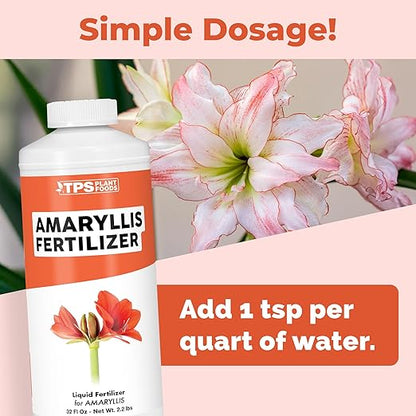Amaryllis Fertilizer for Amaryllis Bulbs, Great for Amaryllis Bulbs in Vase or for Planting, Liquid Fertilizer by TPS Plant Foods, 8 oz (250mL)