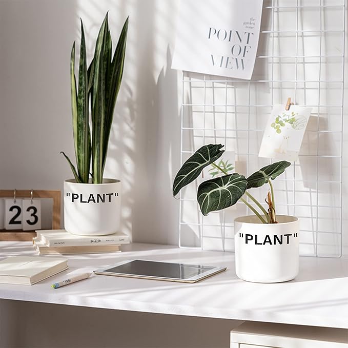 TwoDays Off-White Inspired Sneaker Planter, Hypebeast Room Decor, Small 5 Inch Cylinder White Plastic Indoor Plant Pot with Built in Drainage Hole, Mini Flower Pot, Sneakerhead Gift.
