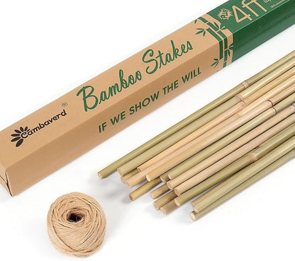 Bamboo Stakes 4 Feet Thicker Garden Stakes with Garden Twine, Diameter of 0.55in Natural Plant Stakes Bamboo Poles for Climbing Plants Support Tomato Cage - 20 Pack Bamboo Sticks for Plants