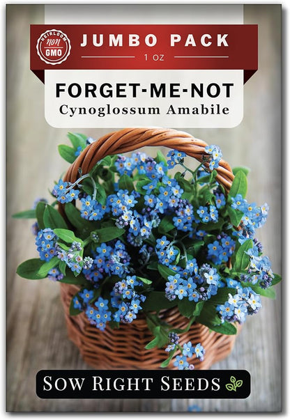 Sow Right Seeds - Bulk Forget-Me-Not Flower Seeds for Planting - 1 Ounce, 5300 Seeds - Non-GMO Heirloom Jumbo Pack with Instructions - Attract Butterflies - Grow Loads of Flowers for Pollinators…
