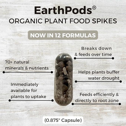 EarthPods® Organic African Violet Fertilizer Spikes – 100 African Violet Food Capsules - Made in USA