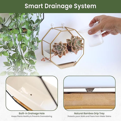 IRYL Wall Planter for Indoor Plants - Ceramic Wall Hanging Planter Set with Bamboo Tray & Hooks - Decorative Wall Plant Holder - Modern Wall Planters for Vertical Garden Home Decor - Golden
