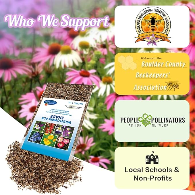 BBB Seed Partial Shade Wildflower Seeds - 1 oz Packet, Open-Pollinated Wildflower Seed Mix, No Fillers, Annual, Perennial Wildflower Seeds for Planting Year Round - 1 oz