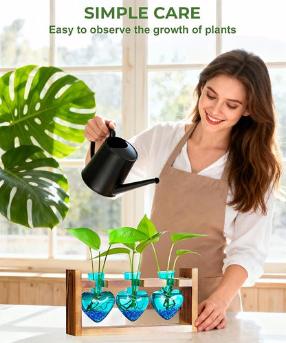Nacome Plant Terrarium Propagation Stations: Birthday Gifts for Plant Lovers Women Mom Wife Daughter - 3 Bulb Glass Vase with Wooden Stand Tabletop for Hydroponics Home Garden Wall Decor