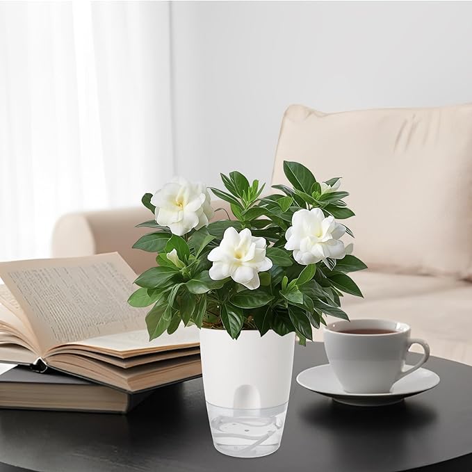 15 PCS 4 Inch Self Watering Pots for Indoor Plants Small Self Watering Planter with Self Watering Wick White Clear Plastic African Violet Pots Self Watering Plant Pot for Indoor House Plants