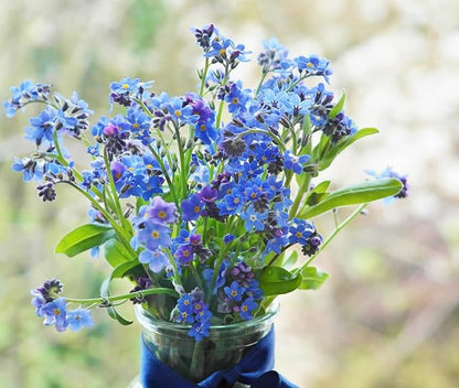 Set of 100 Forget-Me-Not Memorial Seed Packets – Individually Sealed – Non-GMO & Heirloom – Beautiful Tribute to Honor Loved Ones