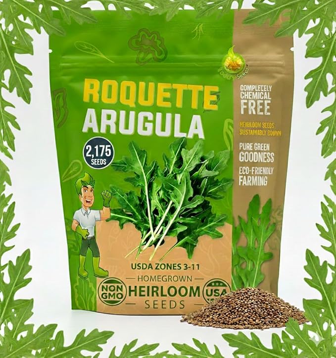 Todd's Seeds Sprouting Arugula Seeds Microgreens for Salads and Sandwiches, One Pound of Seed, Non-GMO, Chemical Free, Grown in The USA, Hand Inspected