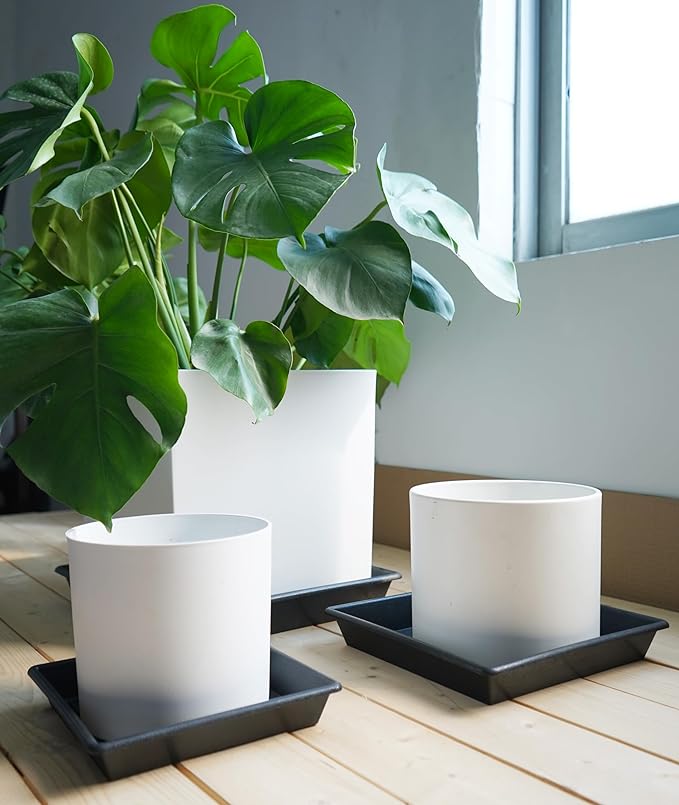 Square Plant Saucer 5 Pack 8 10 12 14 16 18 20 Inch, Plant Trays for Pots Heavy Duty Plastic Plant Saucers for Indoors Outdoors, Flower Pot No Holes Plant Drip Trays