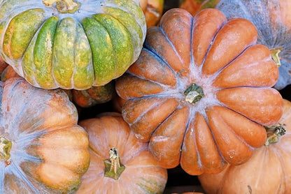 4" Jack Be Little Pumpkin Seeds - Heirloom
