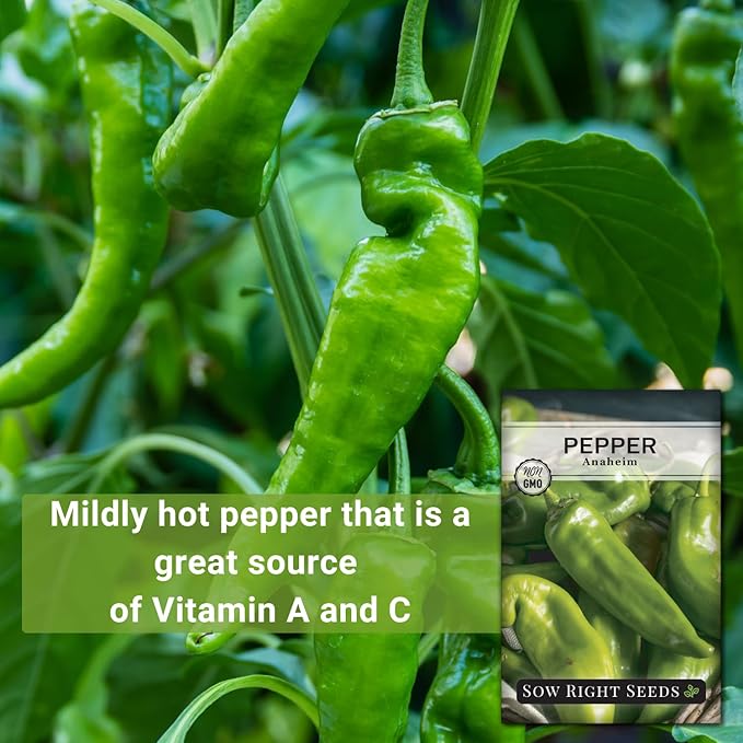Sow Right Seeds - Anaheim Pepper Seeds for Planting - Non-GMO Heirloom Packet with Instructions to Plant an Outdoor Home Vegetable Garden - Productive and Hot Chili Peppers - Hydroponics Growing (1)