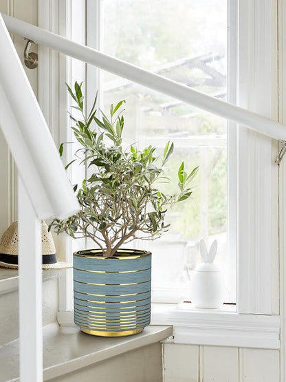 Grey Ceramic Plant Pots, 5.5 + 6.2 Inch Gold Striped Planter for Plants, Modern Flower Pots for Home and Office, Indoor Planters with Drainage Set of 2