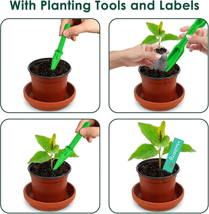 PACETAP 100 Pcs 30mm Peat Pellet Seed Starter Soil, Compressed Seed Fertilizer Nutrient Soil Block, Germination Seedling Pods for Growing Herbs, Plant, Flowers, Vegetables (30MM)