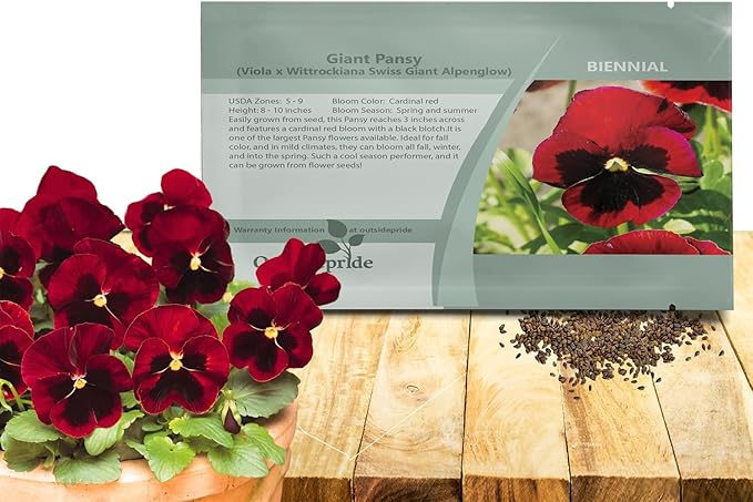Outsidepride Red Alpenglow Viola Pansy Seeds for Planting - 2,000 Pcs. Biennials, Trailing, Cold-Hardy & Pollinator Friendly Flowers with Fragrant Blooms for Garden Beds, Borders & Container Displays