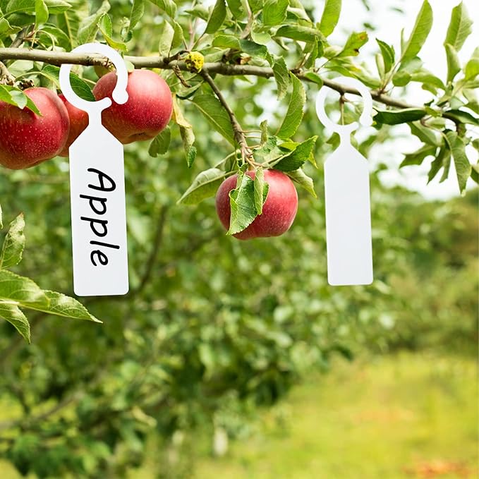 KINGLAKE GARDEN 100Pcs White Plastic Plant Tree Tags Ring Tag Hanging Plant Labels,Plant Tags Garden Labels Sturdy Nursery Garden Markers for Plant