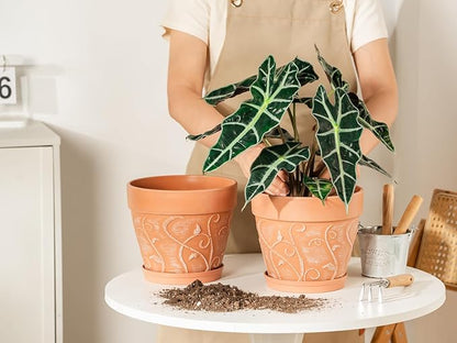 Melphoe Plant Pots Indoor with Drainage & Saucer, 2Pack 8 inch Flower Pots Outdoor Planters for Indoor Plants Garden Home Decor Cactus Succulent, Rigid Plastic (Imitation-Terracotta) Vine-Embossed