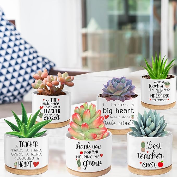 Teacher Appreciation Gifts for Women Bulk 6 Pieces Succulent Pots, 3.15 Inch Ceramic Small Plant Pots with Drainage and Bamboo Tray, Funny Christmas Birthday Retirement Thanksgiving Gifts for Teachers