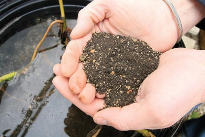 Aquascape Pond Plant Potting Media, Nutrient-Rich Aquatic Soil for Water Gardens, Supports Strong Root Growth, 432 Cubic Inches, 89003