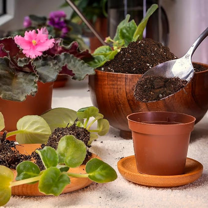 Organic African Violet Potting Mix, Indoor Plants Potting Mix for All Potted Saintpaulia, Grow Healthy houseplants Indoors